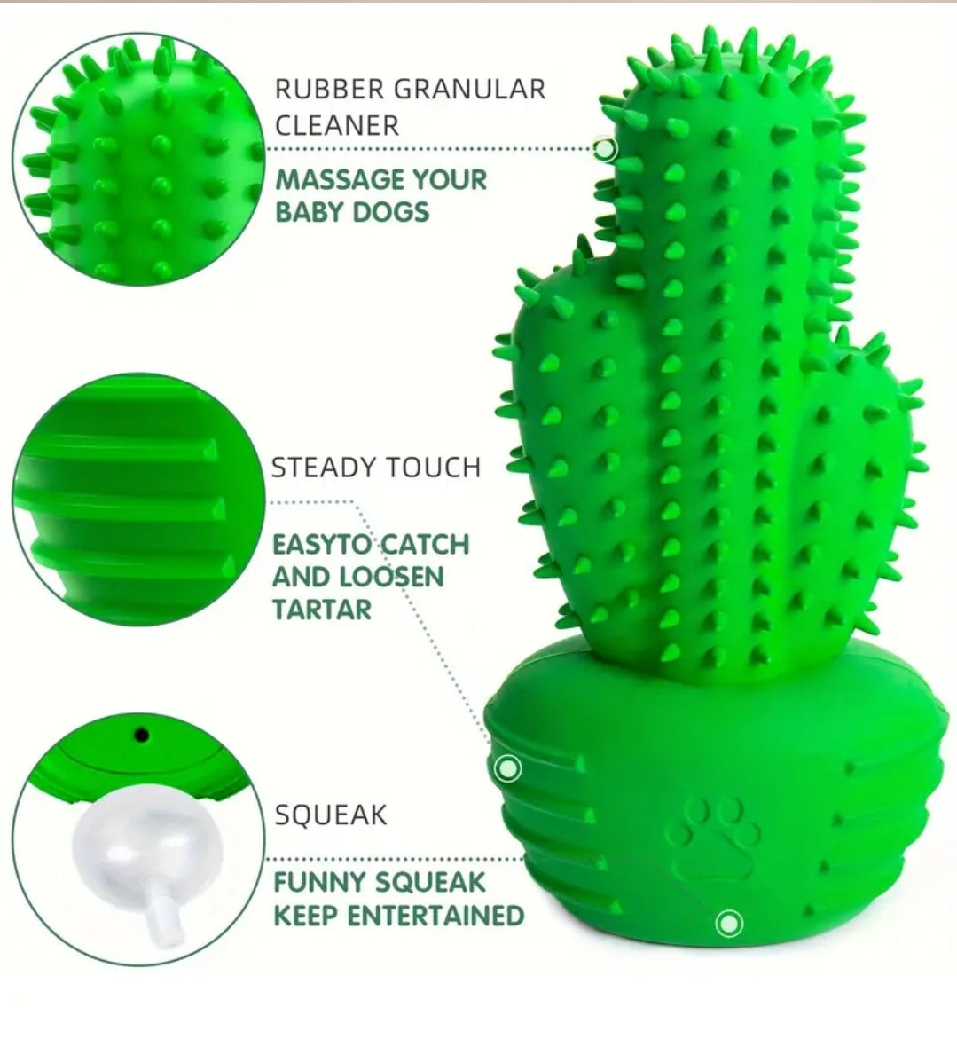 Heavy-duty Cactus
