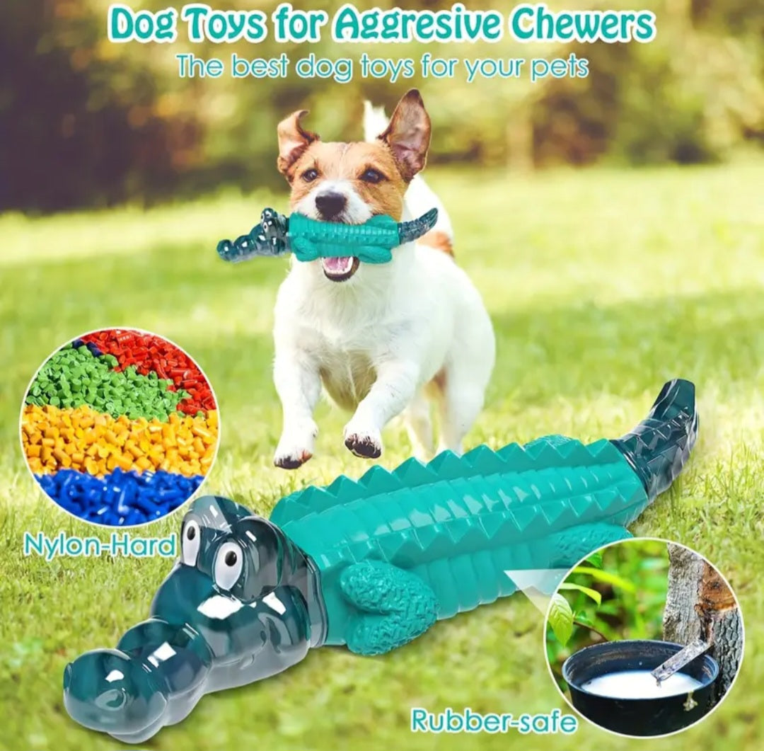 Aggressive Croc