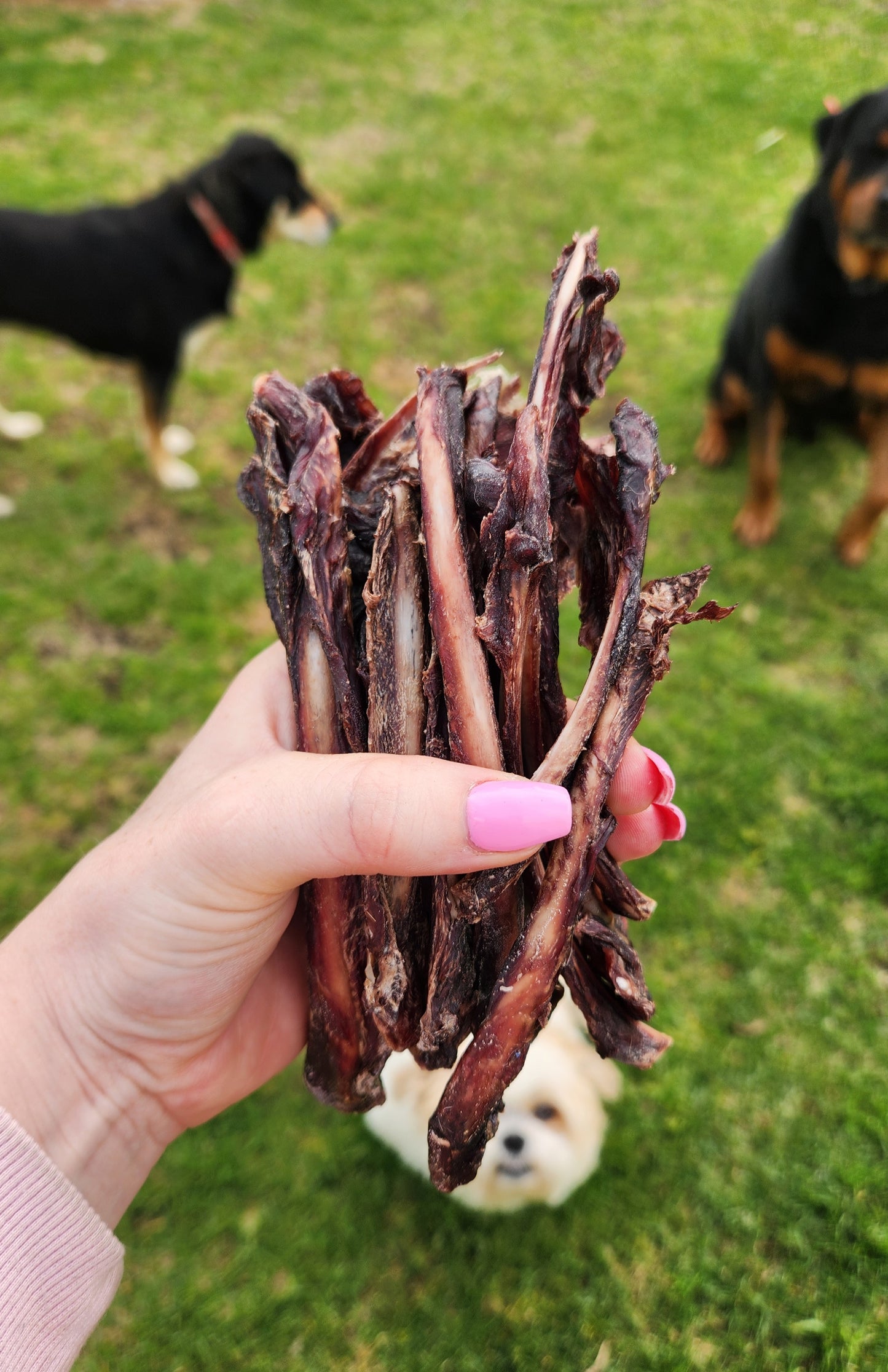 Kangaroo riblets 100g