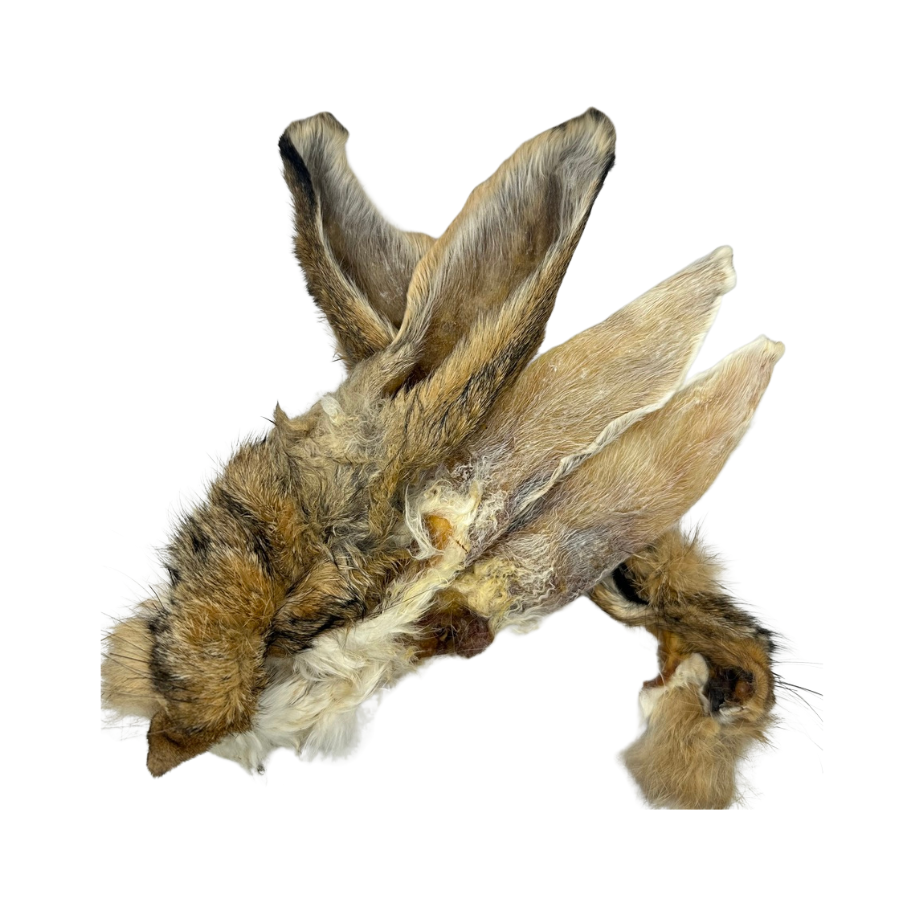 Rabbit ears 10 pack, hypoallergenic, gut health & anal gland expression