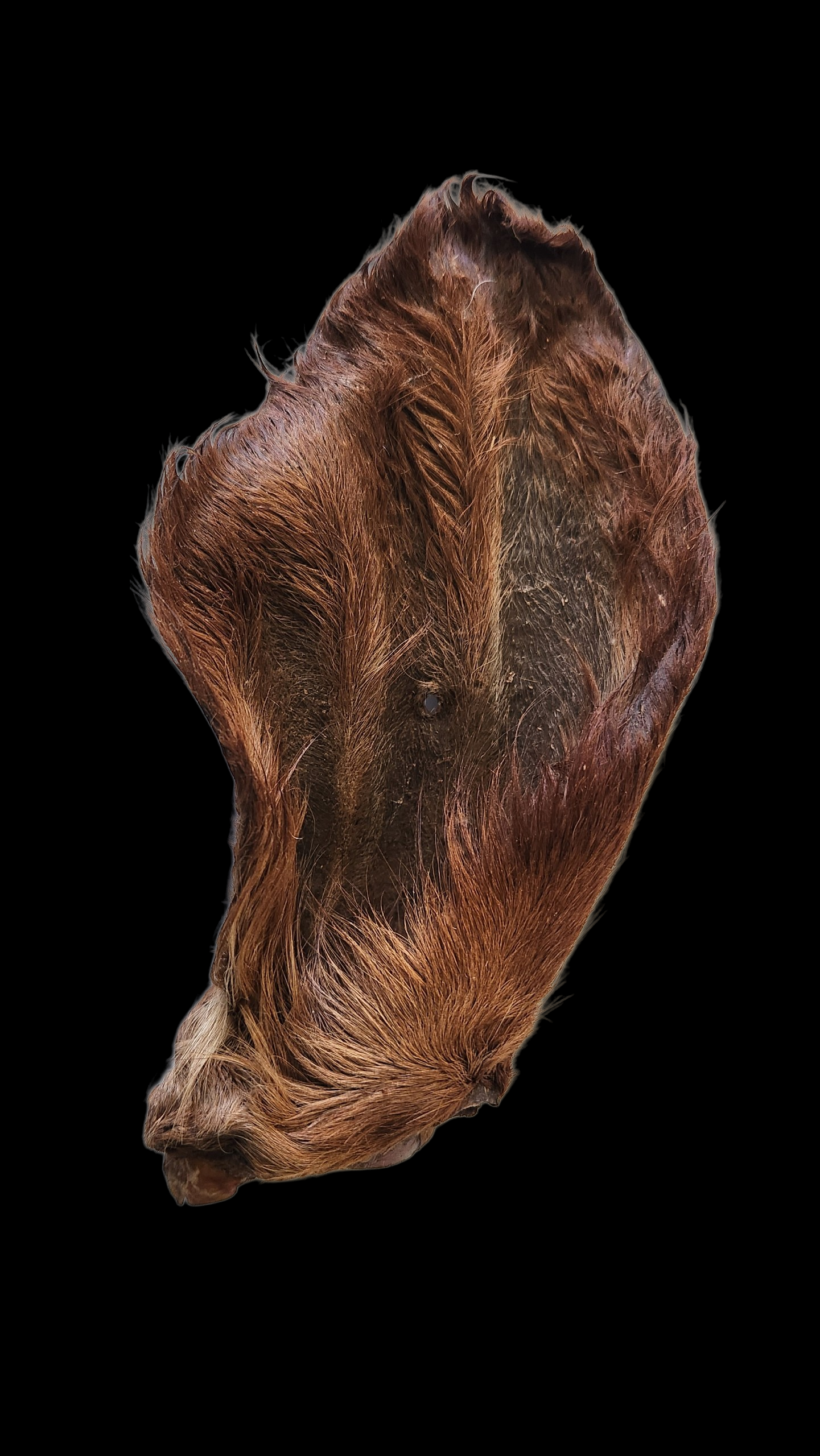 Beef ears