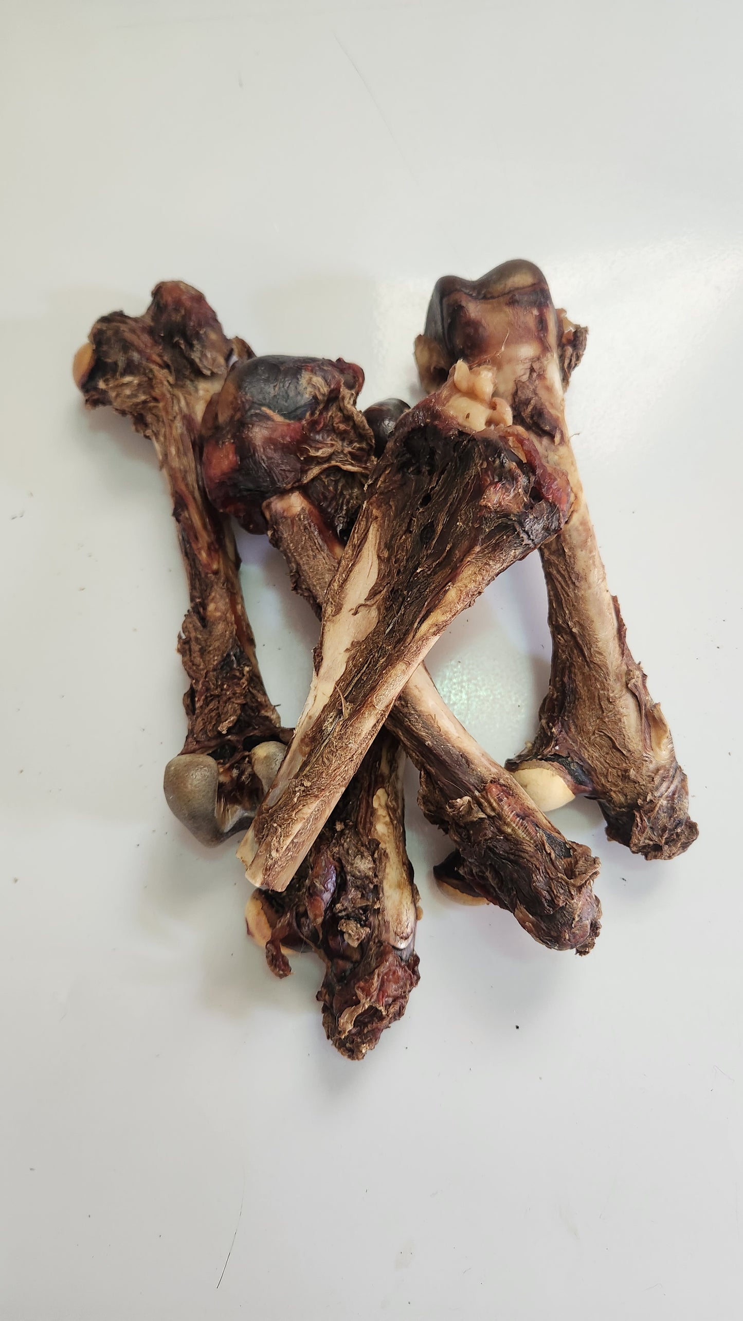 Kangaroo bones