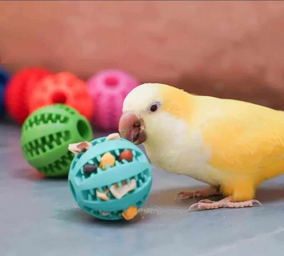 Cat/bird treat ball