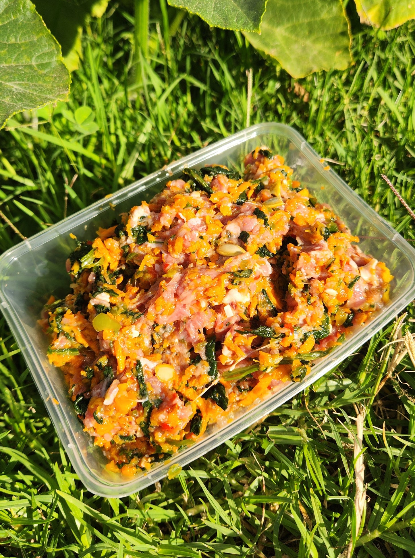 Beef mince & seasonal veggies