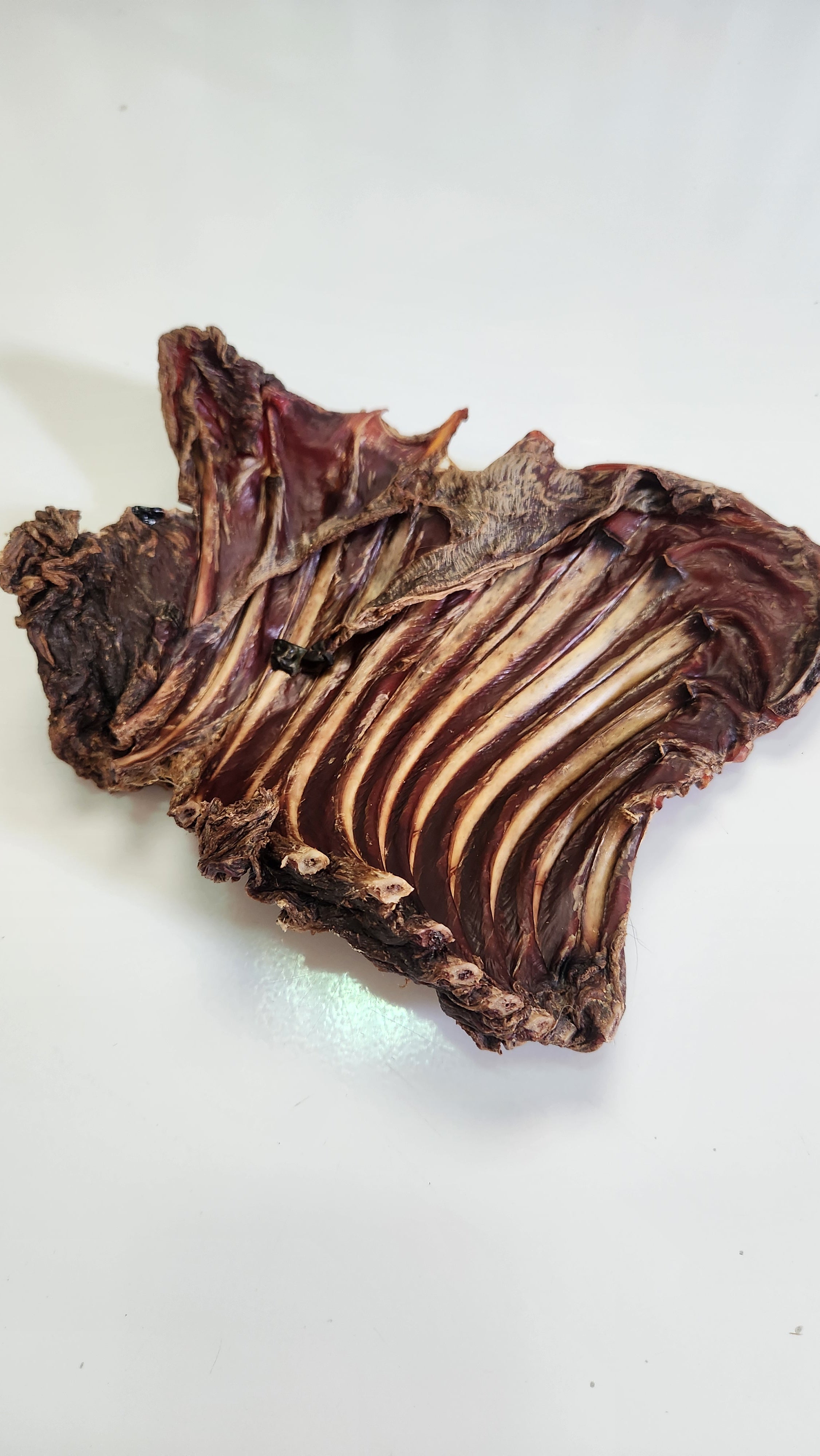 Kangaroo Ribs – WestOz Pets