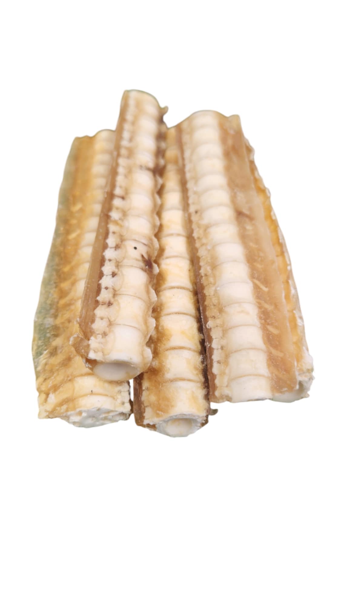 Shark Cartilage 100g