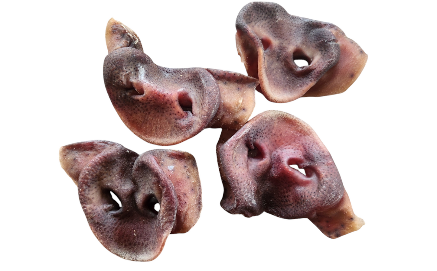 Premium Pig Snouts