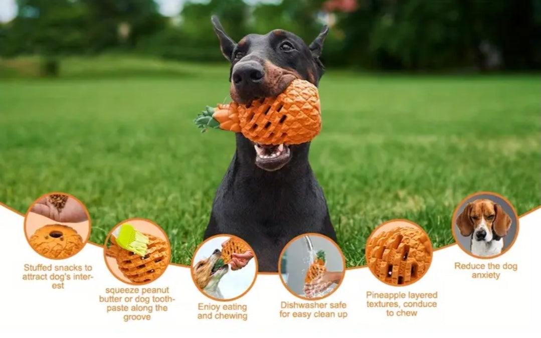 Pineapple For Aggressive Chewers