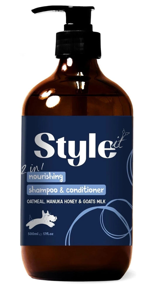 Style it 2IN1 Shampoo & Conditioner 500ml