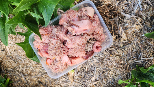 Green tripe 900g