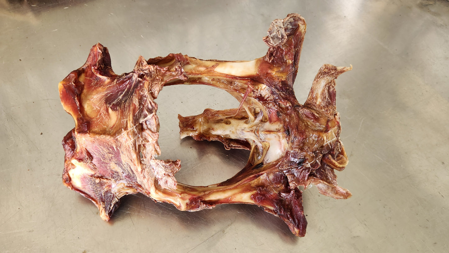 Lamb pelvis bone