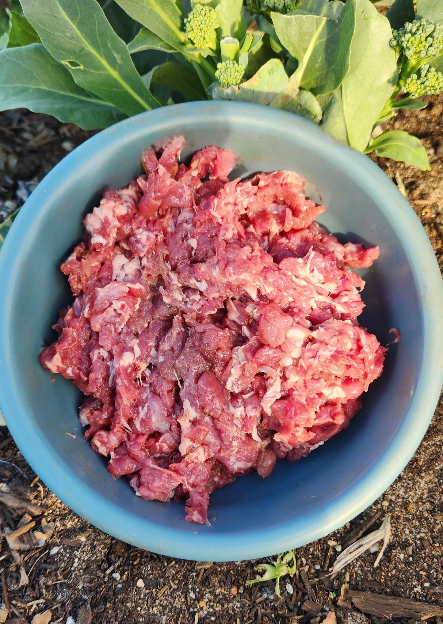 Whole chunky chicken mince 1kg