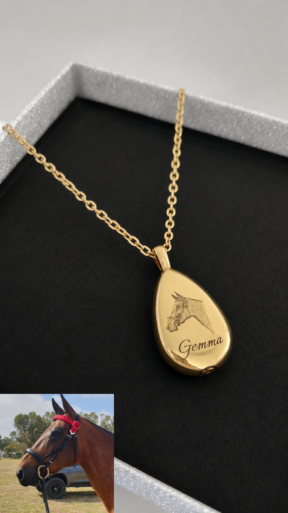 Personalised Pet necklace (see description on how to order)