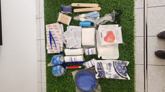 Pet & Human first aid kit