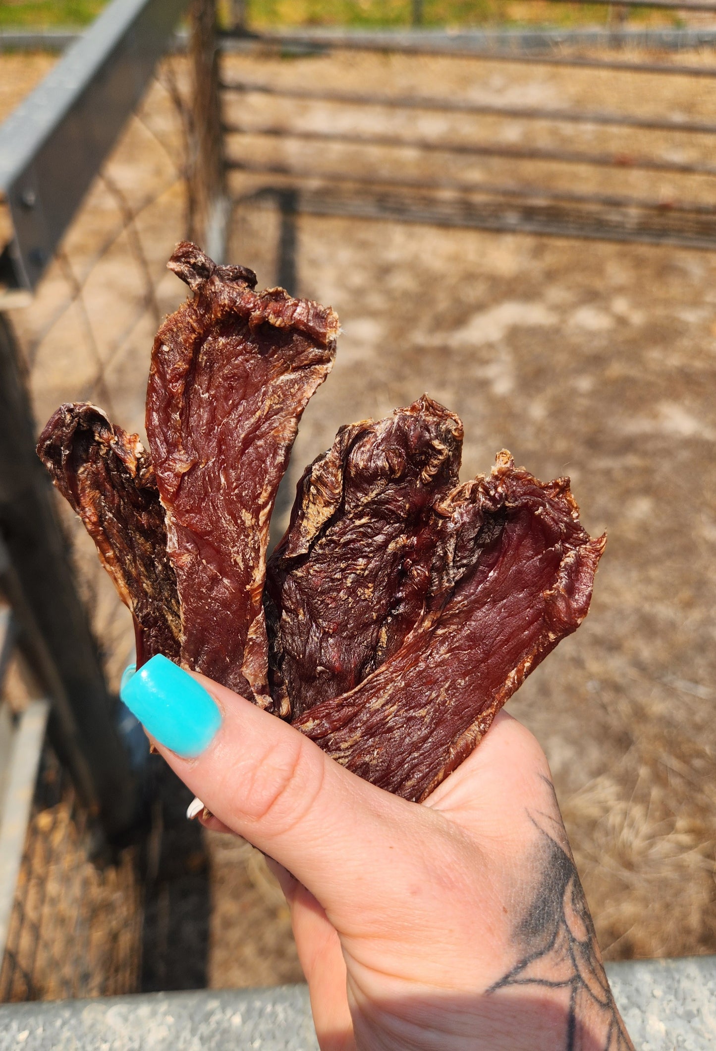 BRAND NEW wild boar jerky 100g
