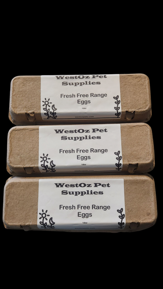 Fresh free range eggs 1doz