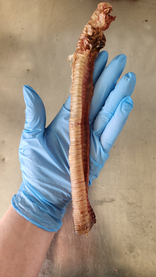 Lamb tube dental chew