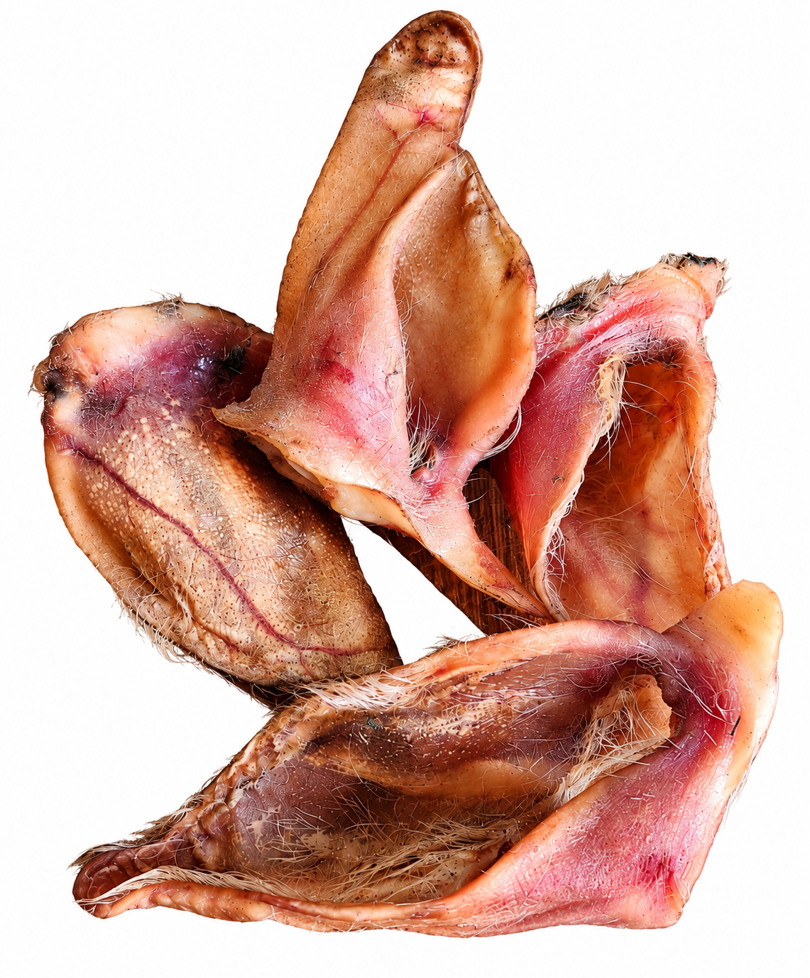 Pig ear