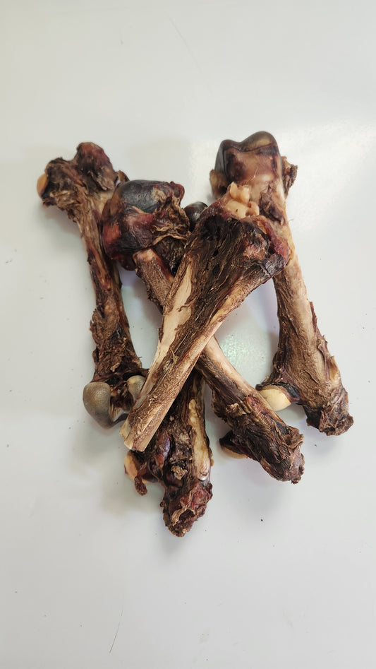Kangaroo bones