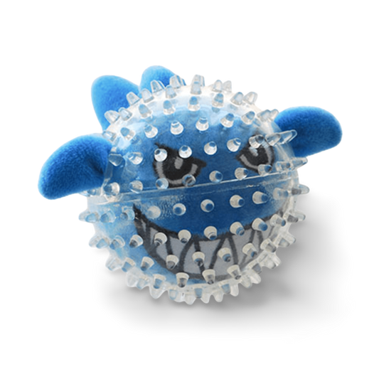 Ruff play shark