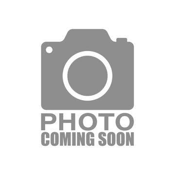 Green tripe 500g