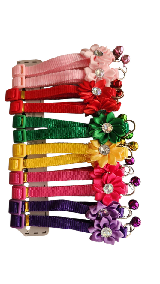 Cat collars