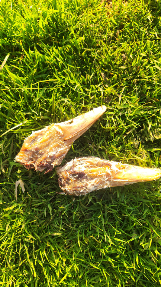 Duck heads