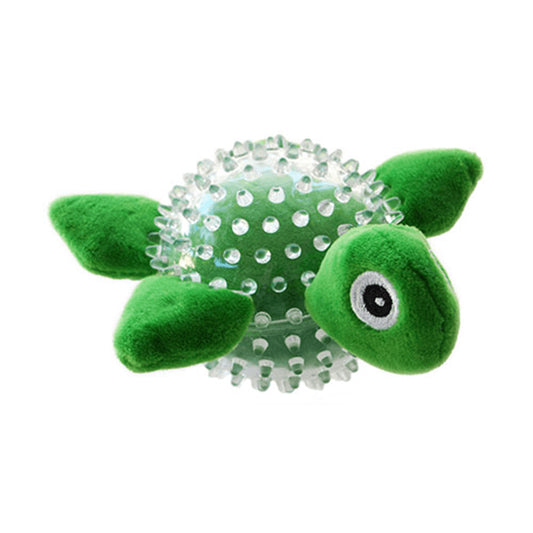 Ruff play turtle