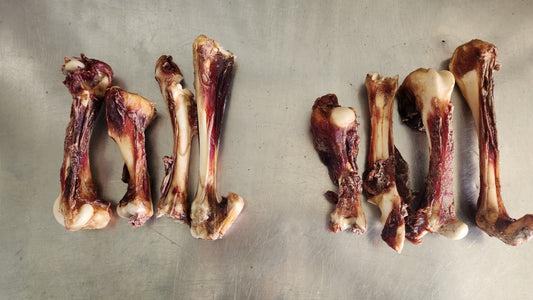 Lamb bones
