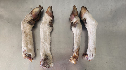 Lamb trotters