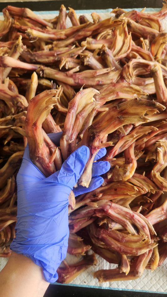 Duck feet