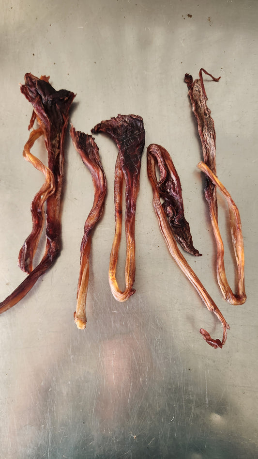Kangaroo tendon dental chew