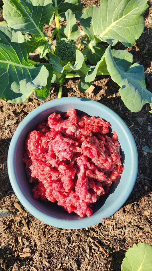 Beef Mince 1kg