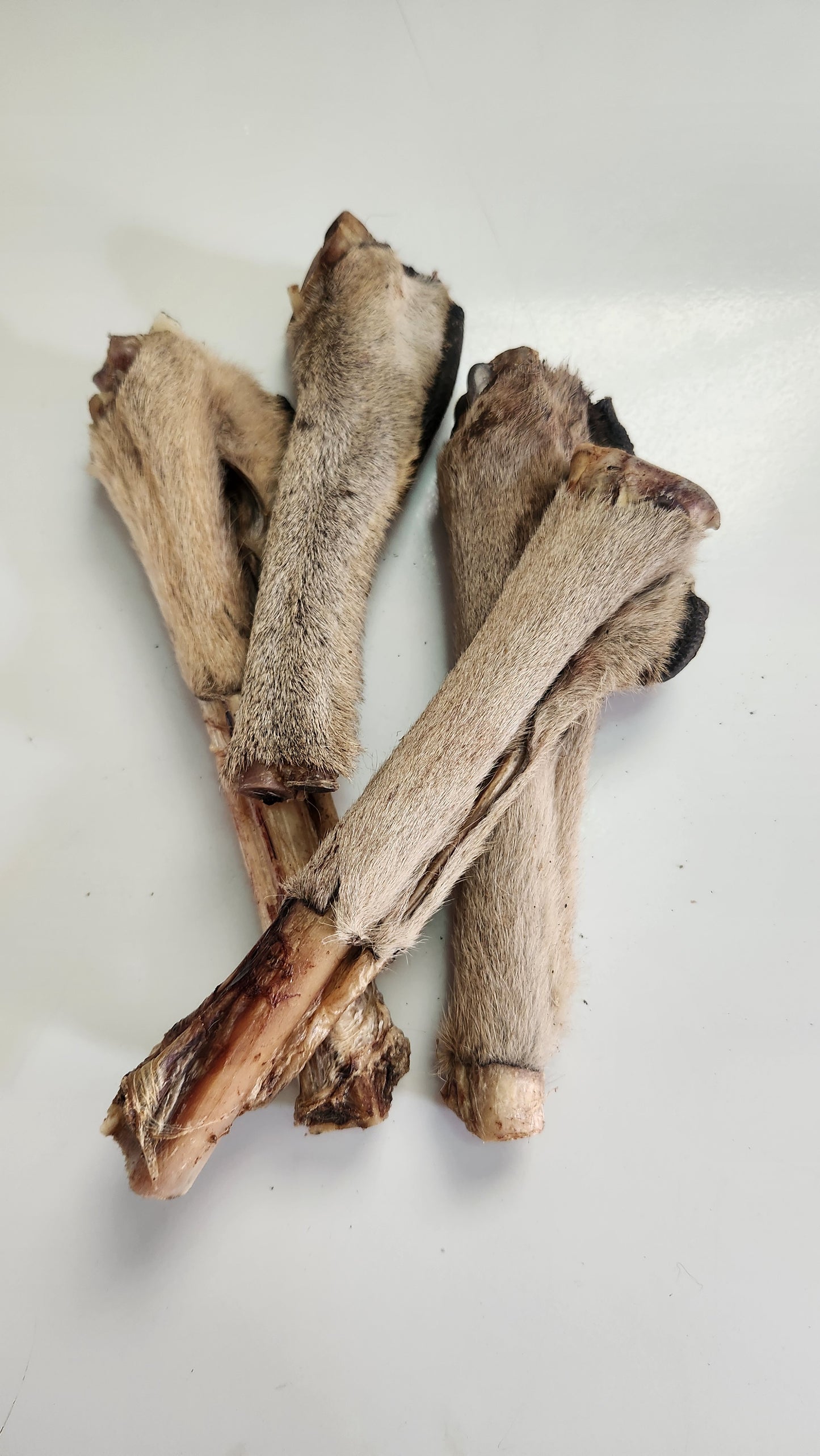 Kangaroo bones fur on